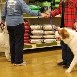 photograph by PeterW